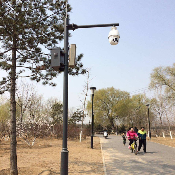 承德路灯监控杆-LX-03